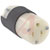 Hubbell Wiring Device-Kellems - HBL5369C - Connector; Straight; NEMA, UL Listed, CSA Certified; 20 A; 125 V; 2; Back Wire